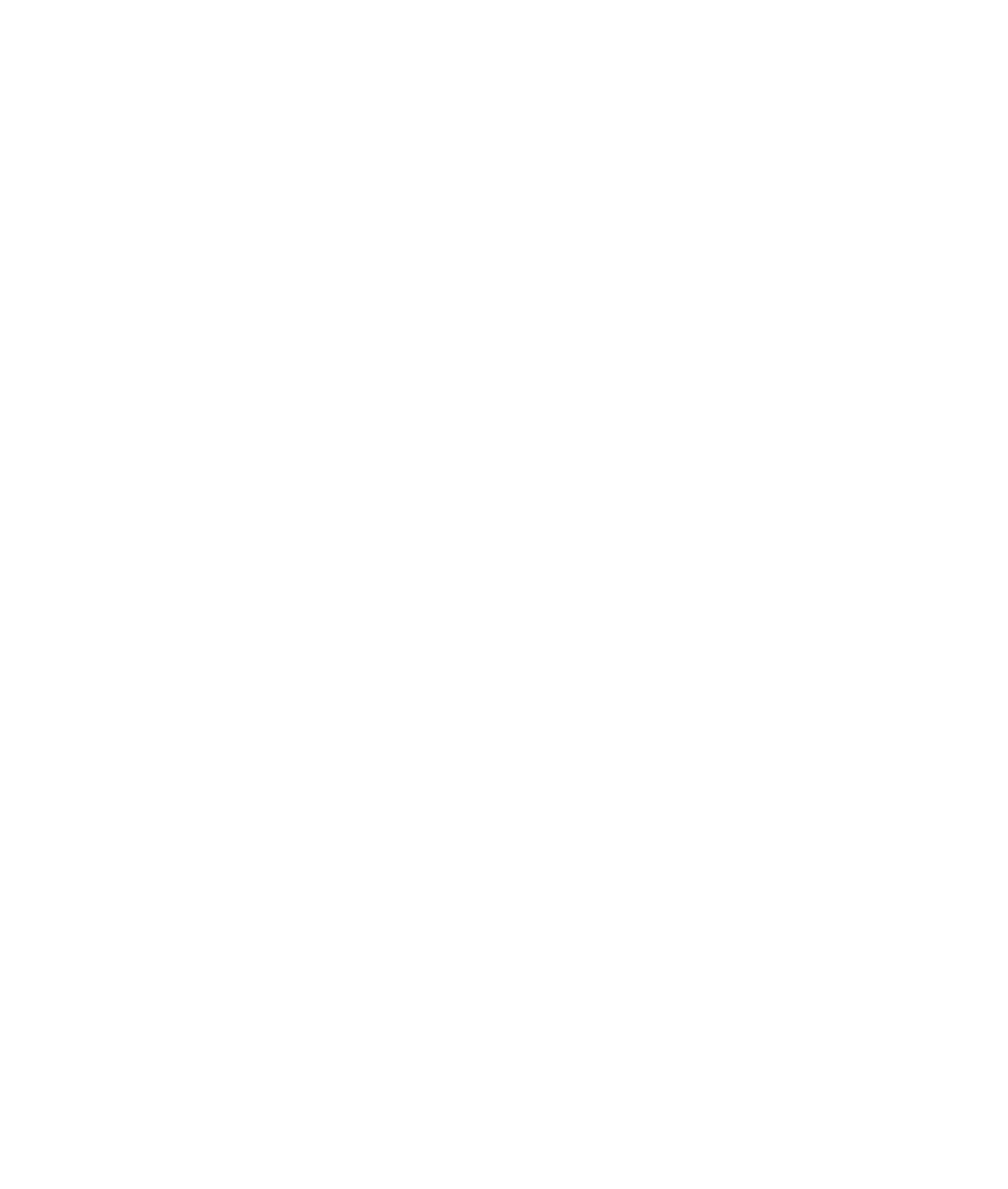 Mojokite Kitesurf School Logo
